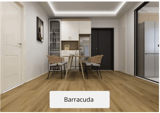 Portes et parquet 10 barracuda