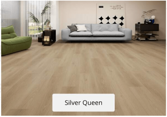 Portes et parquet 7 silver_queen